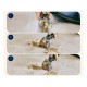 Bissell SpotClean HydroSteam – Перяща Прахосмукачка за Почистване на Килими и Тапицерии